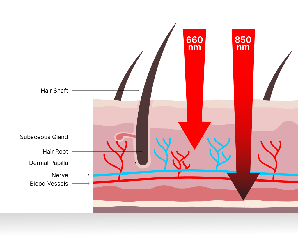 Red Light Therapy On Skin Infographic