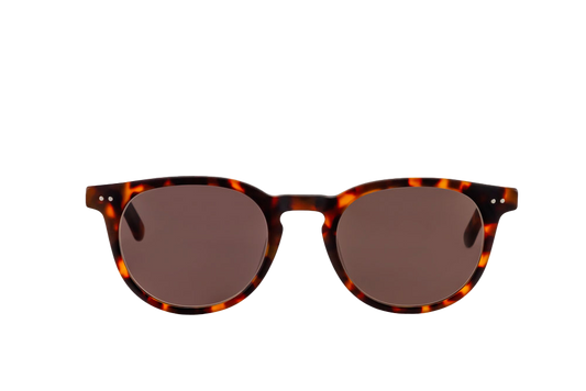 Clarke Sunglasses Readers (Brown) Front View